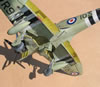 Fisher Model 1/32 Sea Fury by Tolga Ulgur: Image