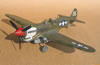 Eduard 1/32 P-40N by Tolga Ulgur: Image