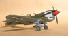 Eduard 1/32 P-40N by Tolga Ulgur: Image