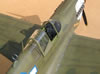 Eduard 1/32 P-40N by Tolga Ulgur: Image