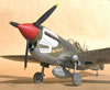 Eduard 1/32 P-40N by Tolga Ulgur: Image