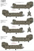 Xtradecal Review by Brett Green: Image