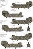 Xtradecal Review by Brett Green: Image