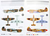 Eduard 1/48 P-40E Review by Brett Green: Image