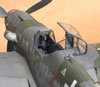 Hasegawa 1/32 Bf 109 G-10 by Tolga Ulgur: Image