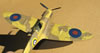 Ta,iya + Laminar Flow 1/32 Spitfire Mk. Vc by Tolgar Ulgur: Image