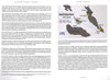 Pacific Profiles Review by David Couche: Image