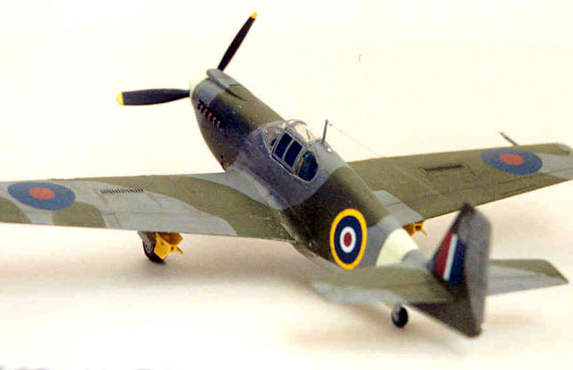 North American Mustang Mk. I by Colin Ford (Accurate Miniatures 1/48)