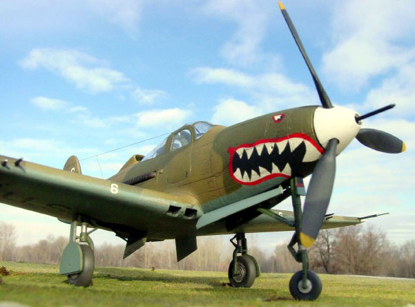 Bell P-39/ P-400 Airacobra - Guadalcanal camouflage pattern paint