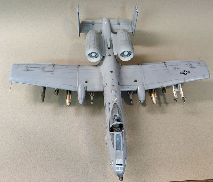 a 10 warthog shark plane