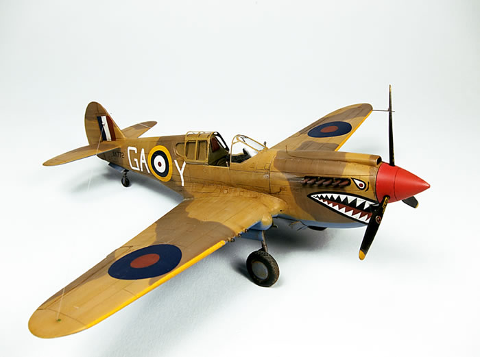 Academy 1/72 scale P-40E by Dario Giuliano