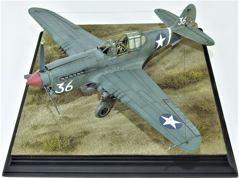 Hasegawa 1/48 P-40E by Mark Danko